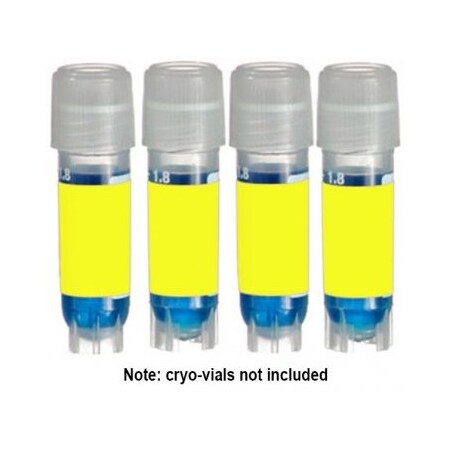 Diversified Biotech Direct Thermal Cryo-Tags, 1.50 x 0.75", Yellow, 750/rl 249402Y